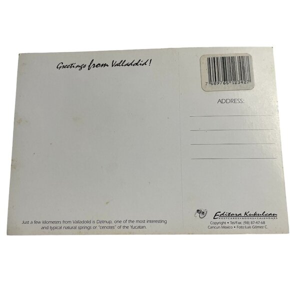 Vintage Cenote Dzitnup Valladolid Mexico Non Topographical Standard Postcard u - Picture 4 of 5